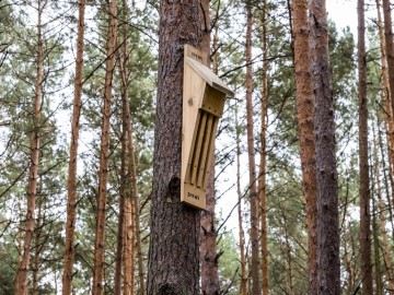 Letnie działania w Przedborskim Parku Krajobrazowym 2025, 